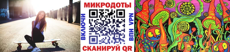 Псилоцибиновые грибы мухоморы  купить наркоту  Харовск 